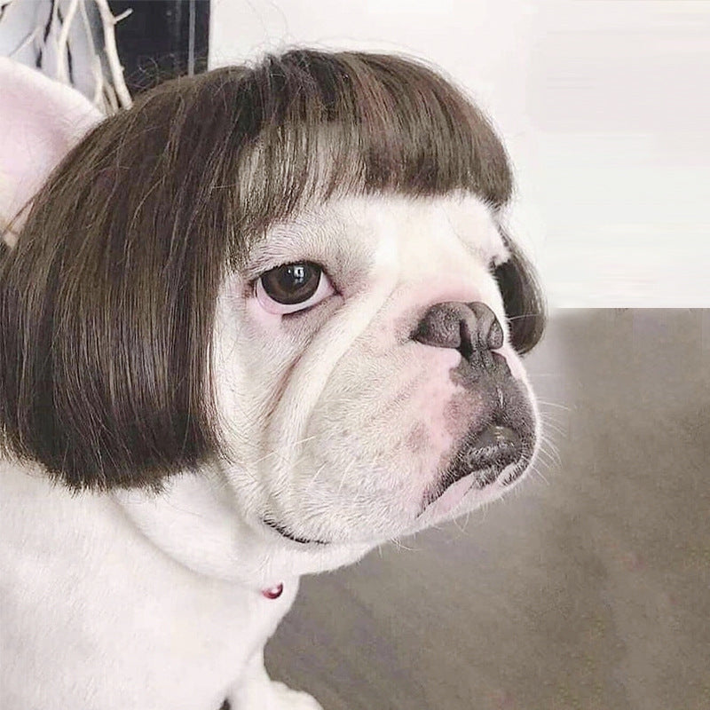 Pet wigs, dog wigs, pet Halloween pet decorations, curly and straight cat wigs