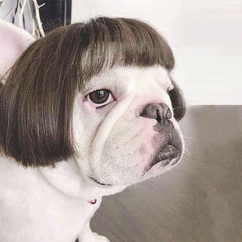 Pet wigs, dog wigs, pet Halloween pet decorations, curly and straight cat wigs