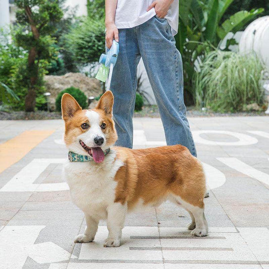 3-in-1 dog leash with light, automatic retractable reflective rope, poop box, dog walking rope for pets